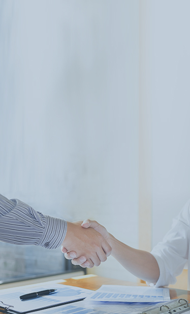 投资者教育·掩护