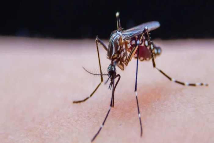 明升mansion88(中国集团)最新官方网站